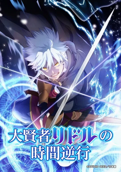 Регрессия великого мудреца Риддла Постер